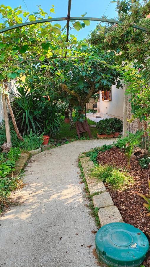 Greenhouse_Anzio Ngoại thất bức ảnh