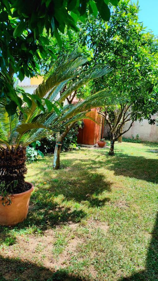 Greenhouse_Anzio Ngoại thất bức ảnh